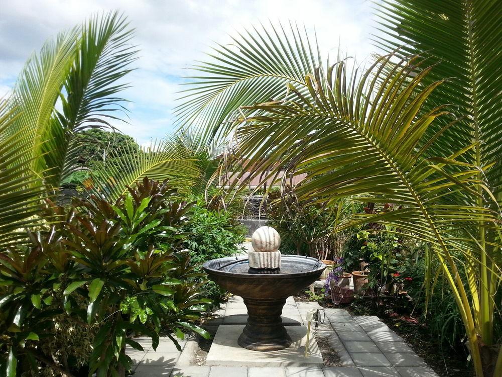 Donchai House Guest House& Cafe Chiang Mai Luaran gambar